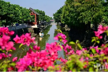 “百千万”攻坚战·中山治水丨东凤镇：群众担任治水“监督员”，“一事一办”跑出工程“加速度”