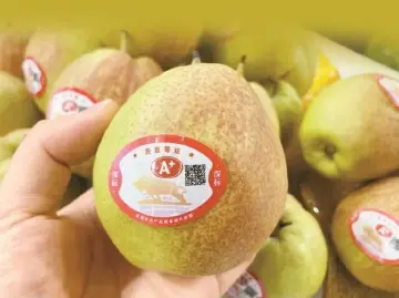 晶报特别报道 | 深圳水果“卷”出新高度！想知道甜不甜？看“标”就行