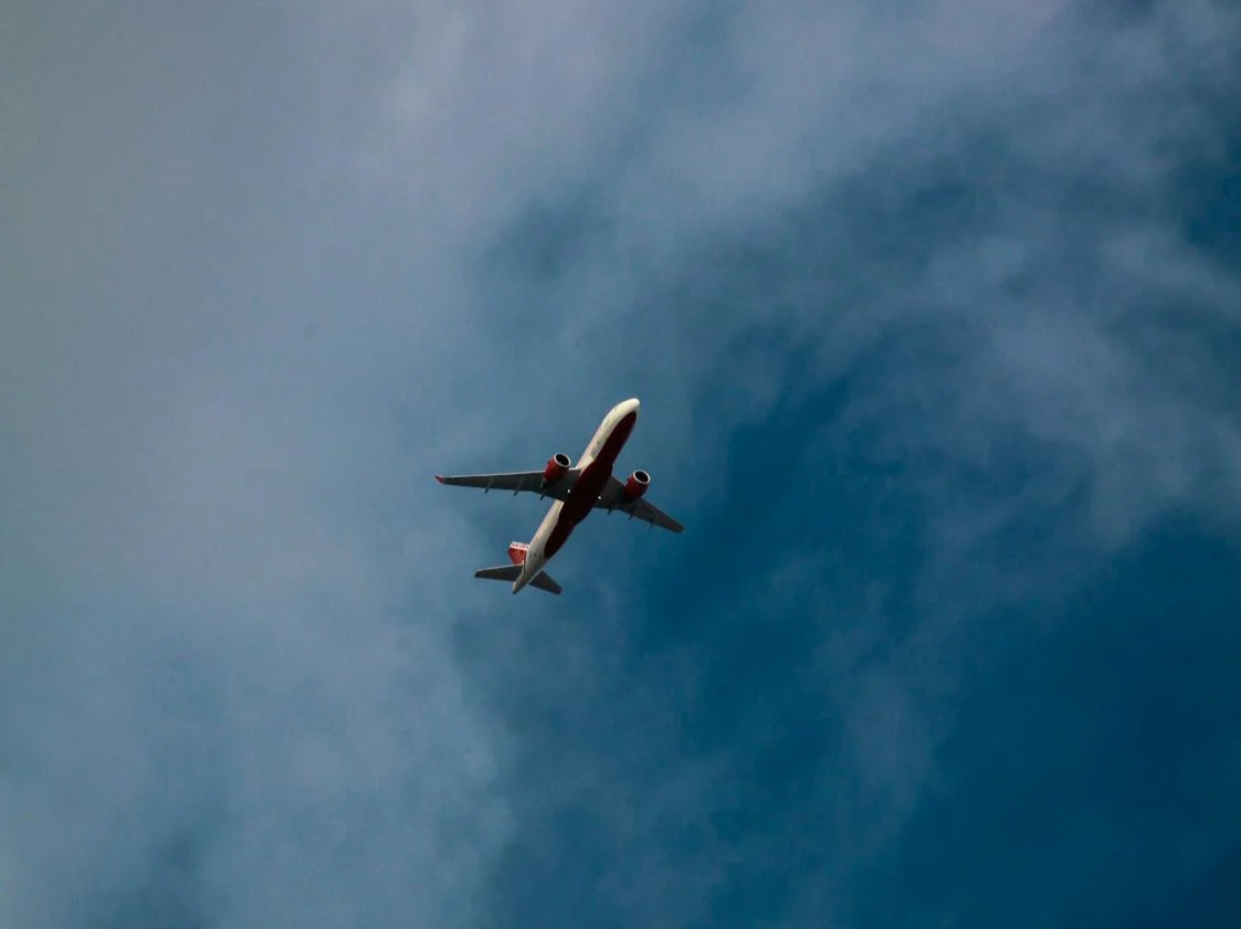 “飞鸟撞机” 危害航空安全 该如何防范？