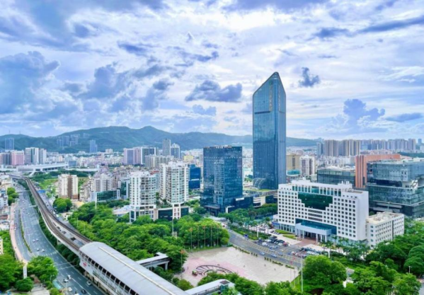 “十大行动”提升机关党建质效，布吉新城发展迎新貌