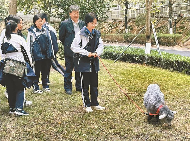 深圳实验学校光明部成立“羊社团”