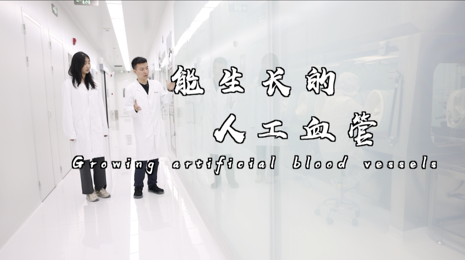 柔脉医疗：研发能生长的人工血管 | 世界在深圳第二季-全球视角看深企③