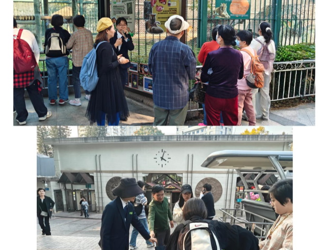 携手同行 让爱无碍，南园街道开展“国际残疾人日”活动