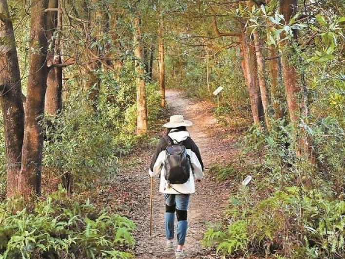 “莲”接自然 深圳又上新“氧”生郊野径