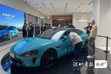向“新”2024｜全球汽车“含深量”飙升