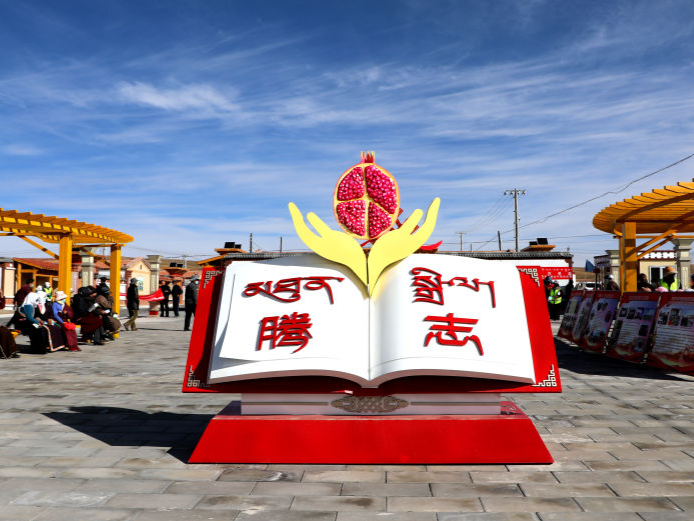 习近平总书记关切事｜果洛藏贡麻村发展有新篇