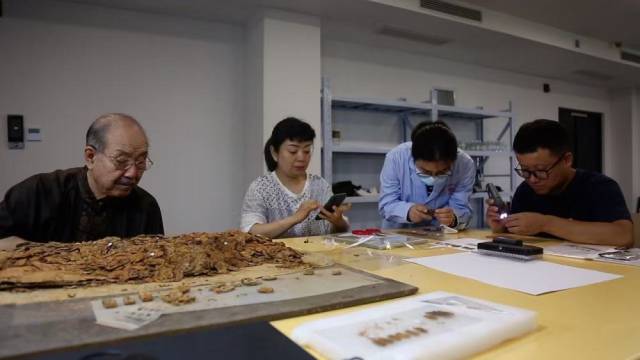 图为甲胄修复专家白荣金（左一）在观察海昏侯墓甲片堆积物。江西省文物考古研究院供图