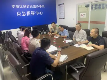 聚焦“百千万工程”｜翠竹街道创新路径打造平安街区