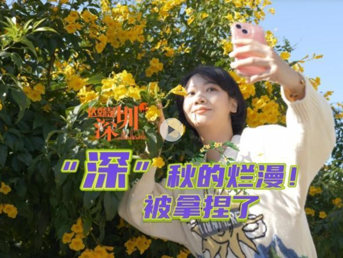 这就是深圳｜“深”秋的烂漫！被拿捏了