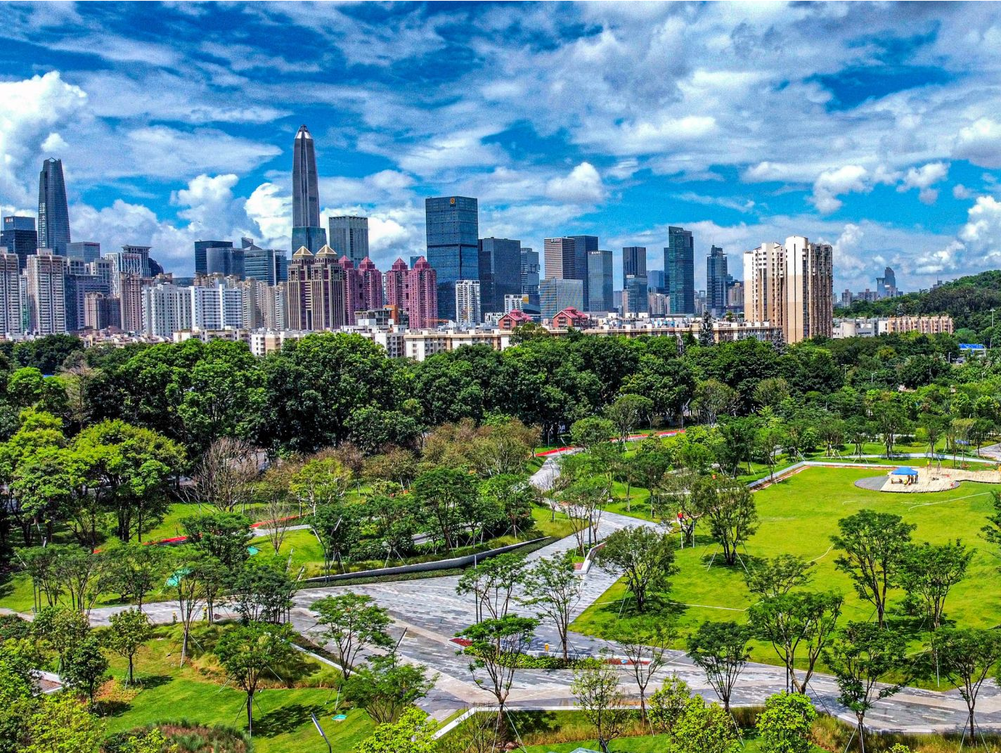 2025年怎么干？深圳市委全会部署13个方面重点任务