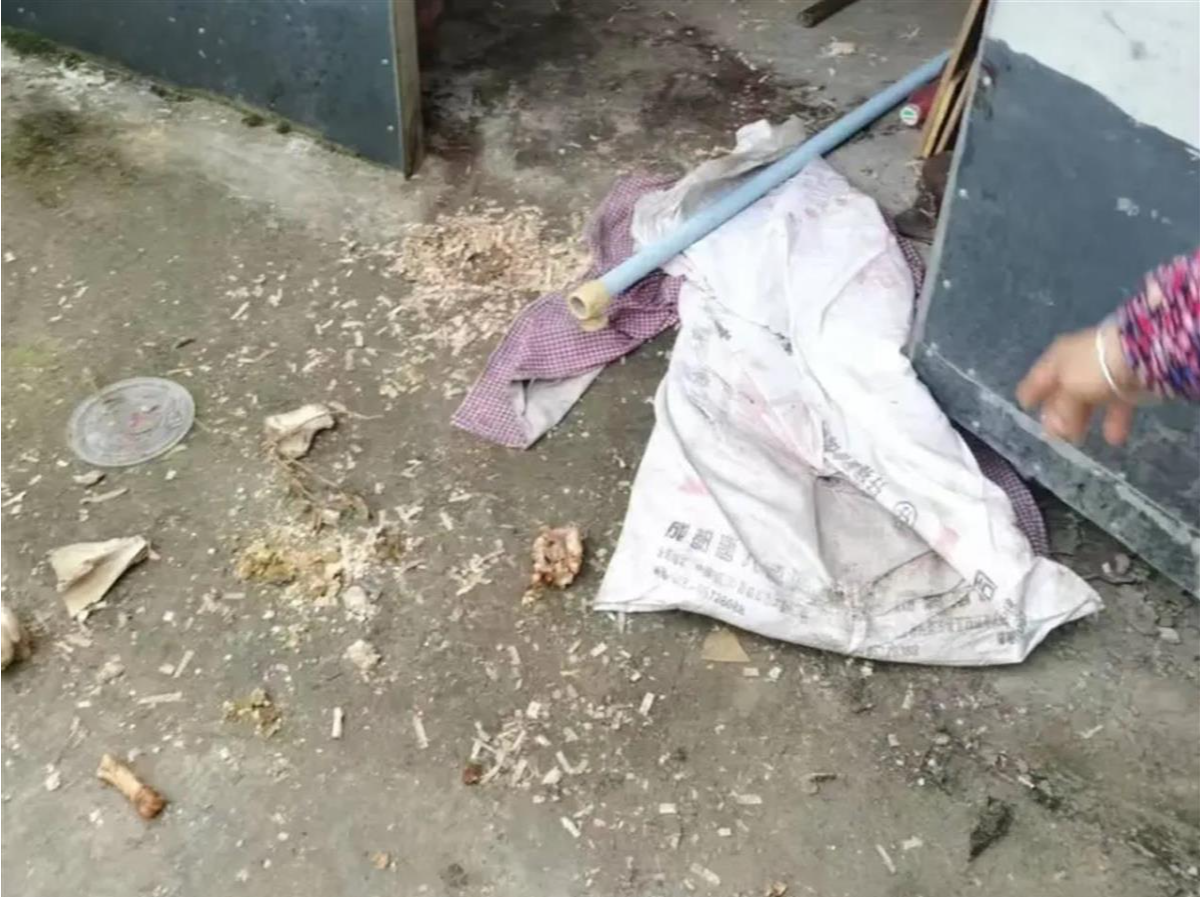四川遭黑熊袭击的夫妻均无生命危险：保险公司会赔付，打死的黑熊将用于科研