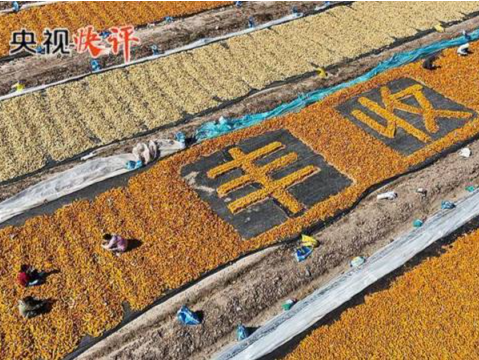 循着习近平总书记的足迹感悟“三农”情怀