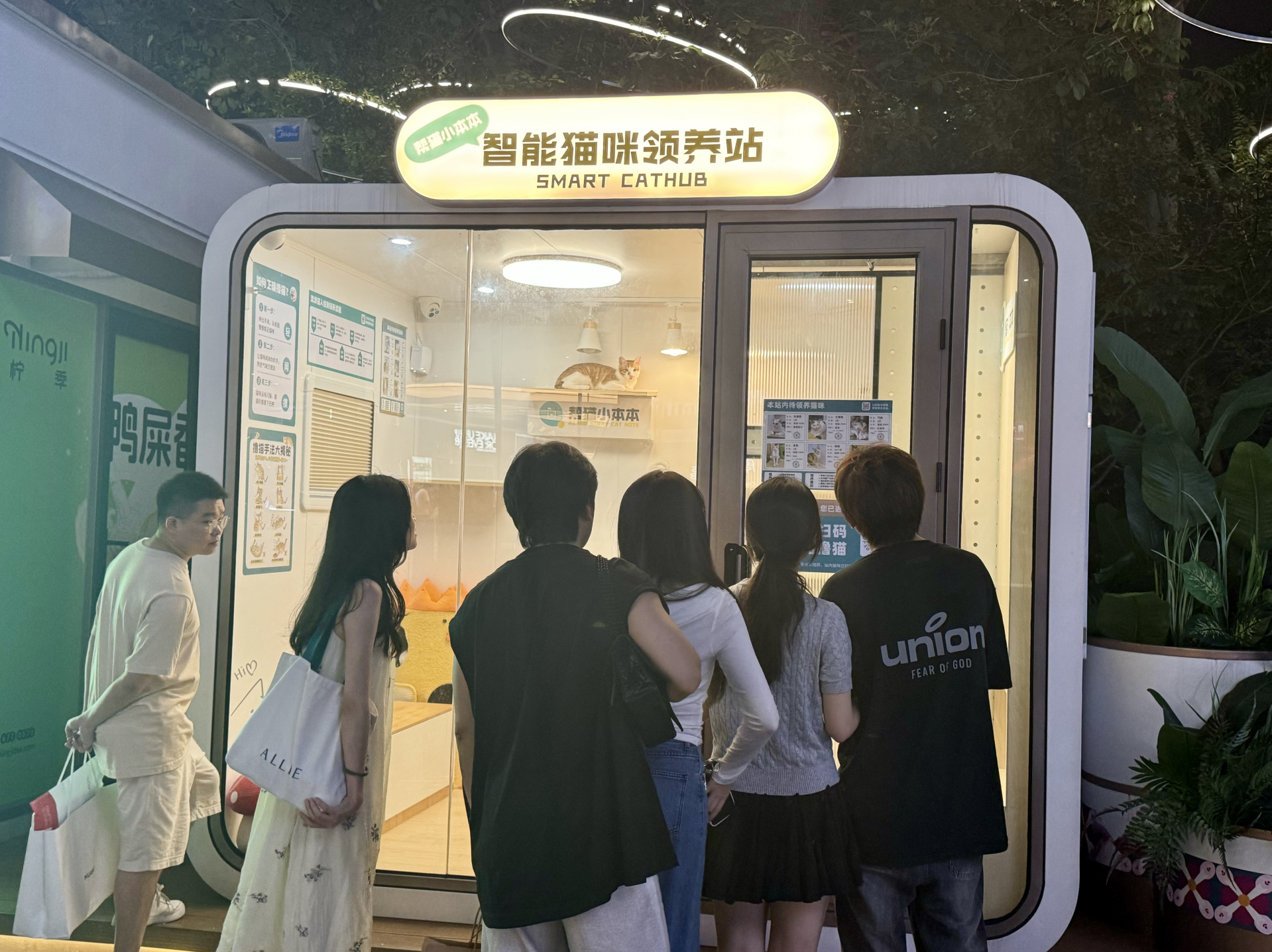 智能猫咪领养站带来人宠互动新体验