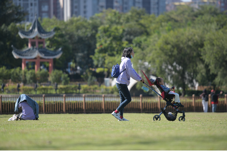 广东入冬了吗？中山元旦天气如何？一起来了解