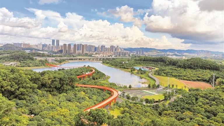 光明街道积极融入市、区发展大局