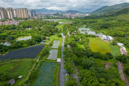 郭文海：倡导群众“自己家园自己建自己管自己美”，高质量推进农房风貌