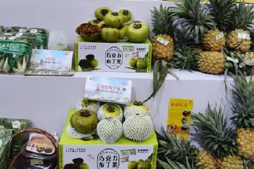 36款“中山香农”农特产品亮相农博会，你都吃过吗？