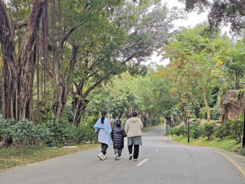 温度记 | 最低10℃！冷空气最后一“哆嗦”，深圳er三明治穿衣法安排→