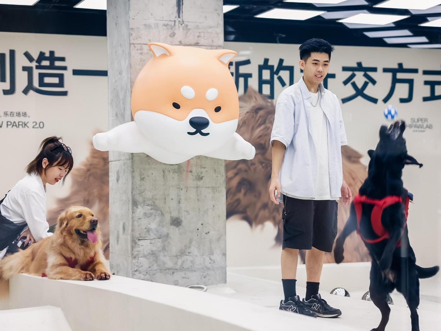 晶报特别报道 | 深圳“宠物经济”何以年营收超百亿