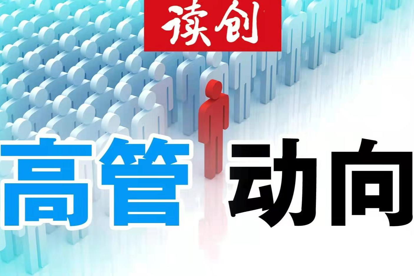 高管动向｜财务总监及两位副总同日辞职！曲江文旅高层洗牌，亏损难题待解
