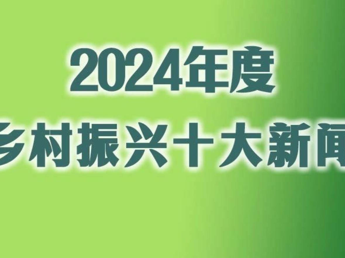 中央广播电视总台2024年度乡村振兴十大新闻