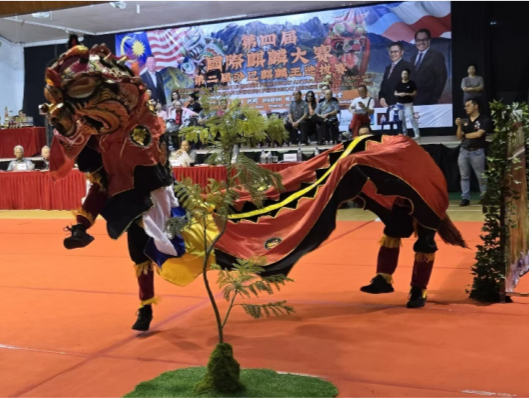 国际赛场载誉归来！吉华街道甘坑麒麟队斩获国际麒麟大赛冠军