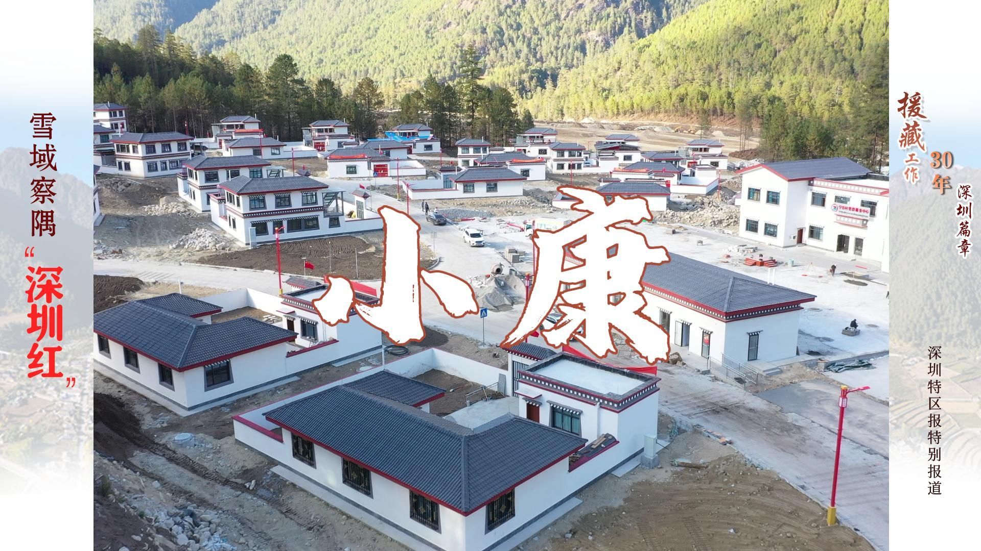 雪域察隅“深圳红”