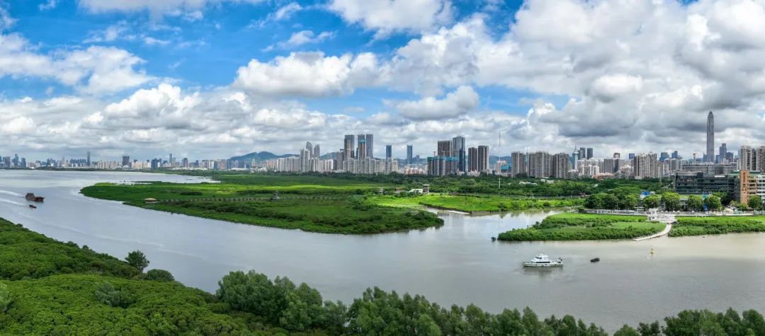 深圳一周丨各区书记区长在忙啥？（12月16日-12月22日）