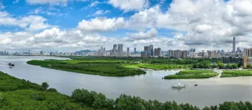深圳一周丨各区书记区长在忙啥？（12月16日-12月22日）