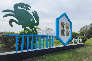 擦亮“崖口青蟹”品牌，中山南朗街道青蟹集散中心正式启用