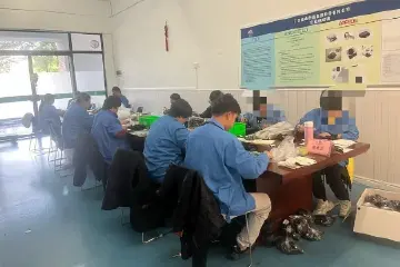 中山探索政企“共建车间”帮助残疾人就业新模式，效果如何？听听他们的心声→