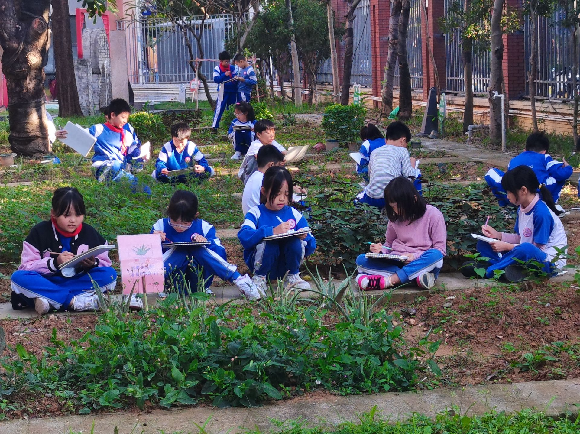 东莞大朗：中医药文化进校园，传承国粹从娃娃抓起