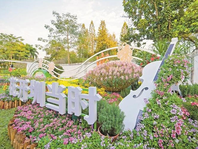 明明在深圳，却恍入莫奈花园