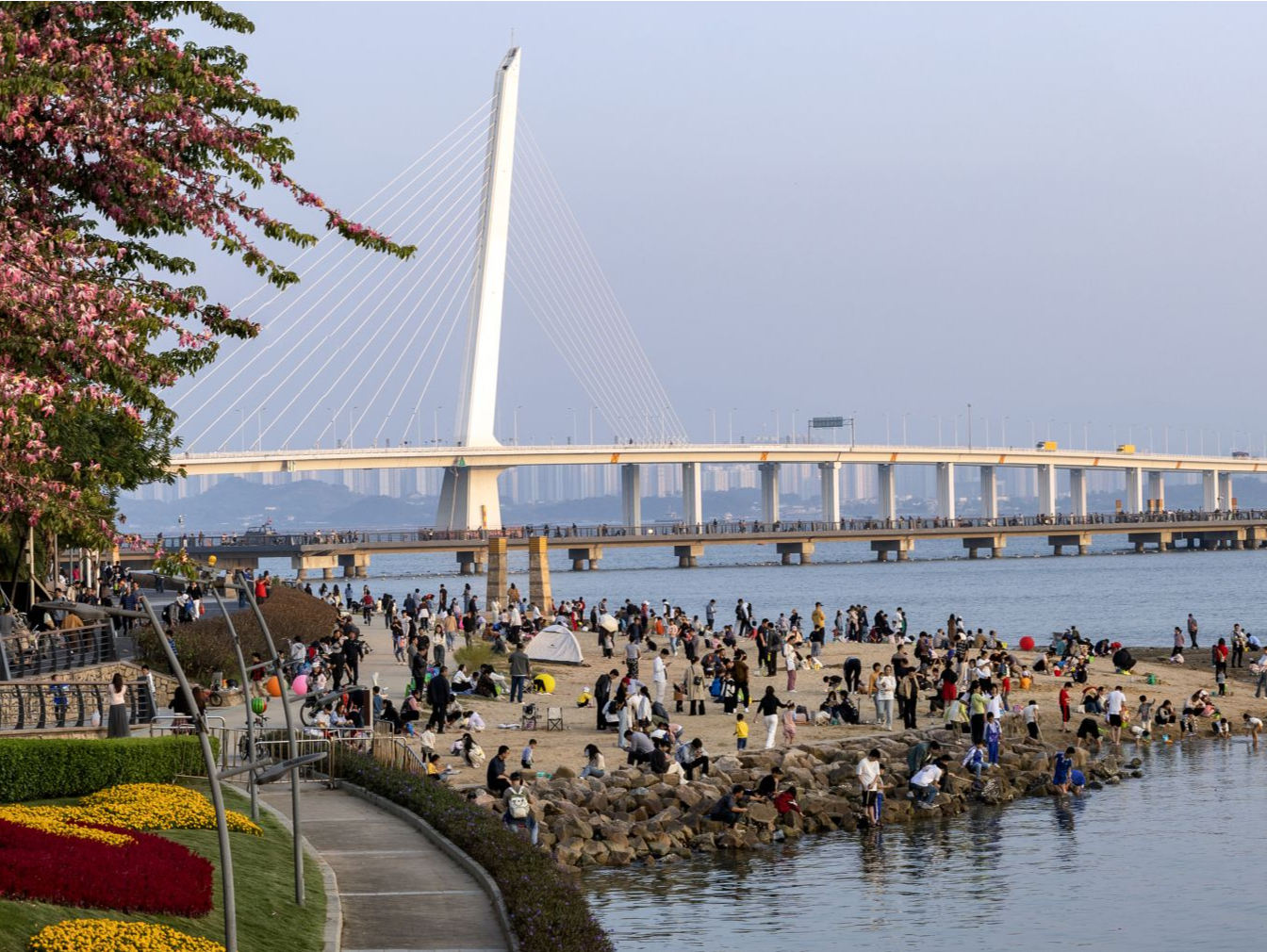 深圳湾公园游览车票价多少合理？邀您提建议