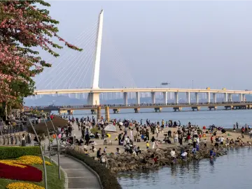 深圳湾公园游览车票价多少合理？邀您提建议