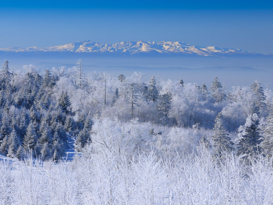 游客花3000订房入住时被要求加钱，林海雪原景区回应