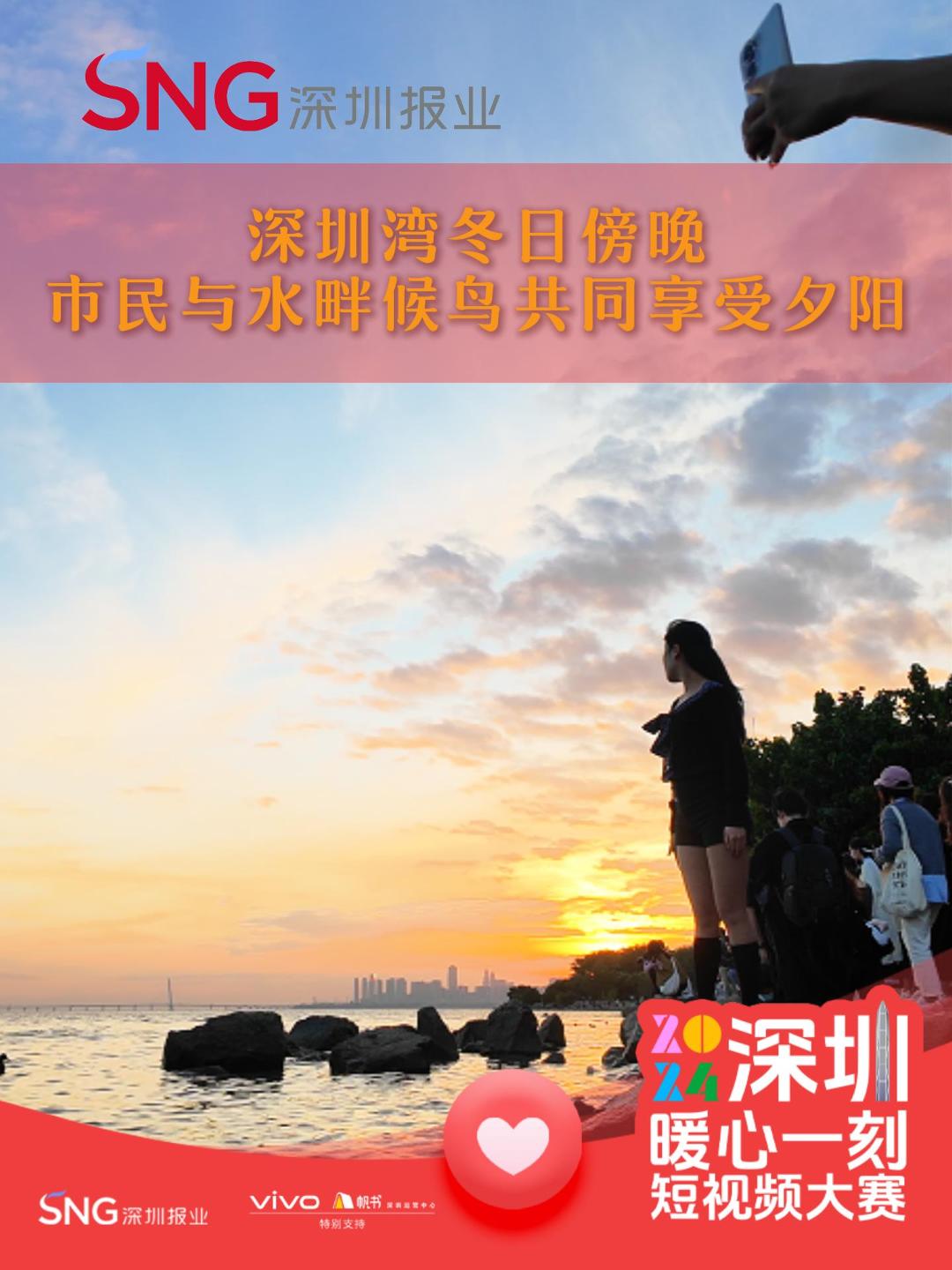 深圳湾冬日傍晚 市民与水畔候鸟共赏夕阳｜暖心一刻