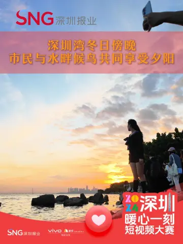 深圳湾冬日傍晚 市民与水畔候鸟共赏夕阳｜暖心一刻