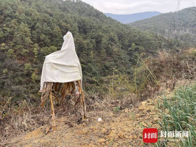 李孃孃果园里的稻草人。杜卓滨 摄