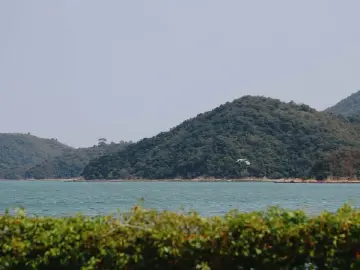 冬日书（外一首）｜人文天地·南海潮
