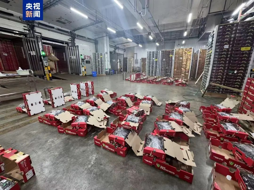 价格大跳水！网友：等不及了🤤