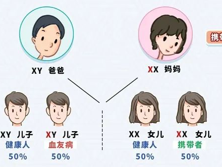 专家科普 | 儿女双全可以通过三代试管实现吗？