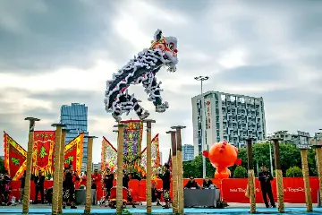 4支队伍分获单项冠军！2024年中山市龙狮公开赛落幕