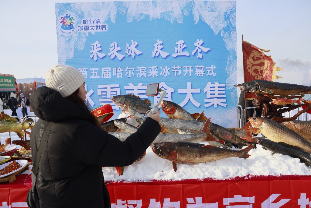 快讯｜第五届哈尔滨采冰节盛大启幕