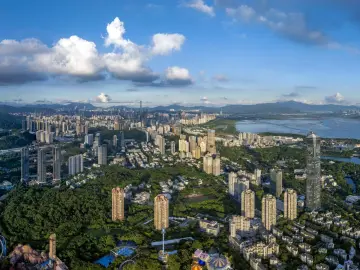 深圳在列“试点” 将开展专项债券项目“自审自发”
