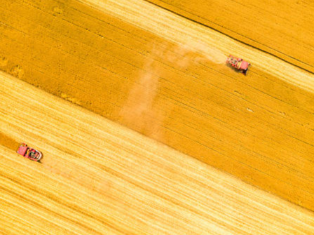 明年经济工作怎么干？读懂中央经济工作会议十个重要提法