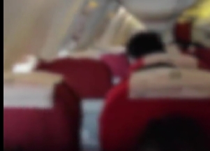 海航长安航空回应“飞机上出现老鼠”：是一只小家鼠
