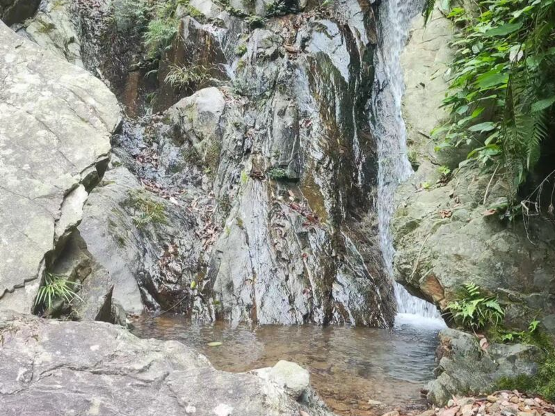“打野”归来染上“怪病”，住进ICU才发现“嫌犯”竟是一只老鼠