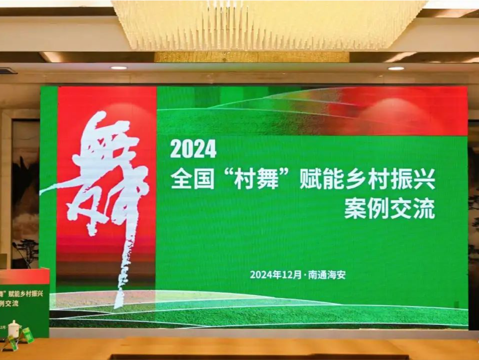 坪山“村舞”出圈，获评全省唯一国家级一等案例