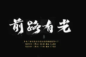 又上央视！声屏传媒摄制纪录片《前路有光》今晚11点首播